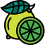 Lime icône 64x64