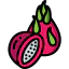 Dragon fruit icône 64x64