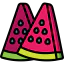 Watermelon icône 64x64