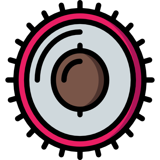 Lychee icon