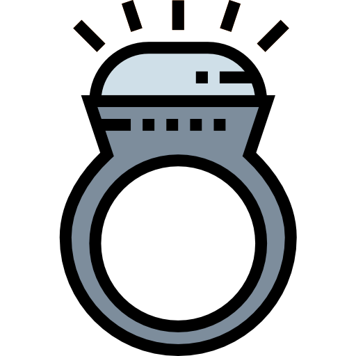 Ring icon