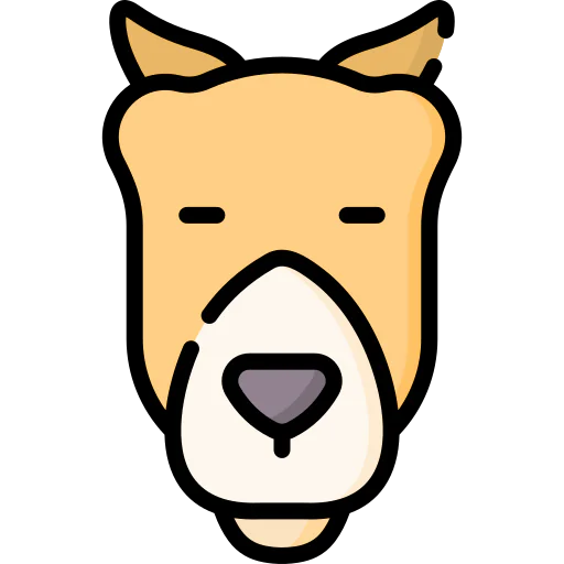 Camel іконка