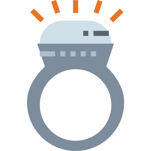 Ring icon