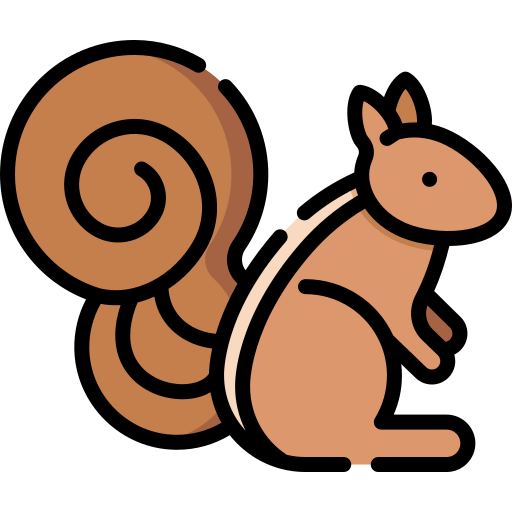 Squirrel icon