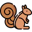Squirrel 图标 64x64