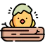 Chick icon 64x64