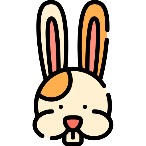Rabbit biểu tượng