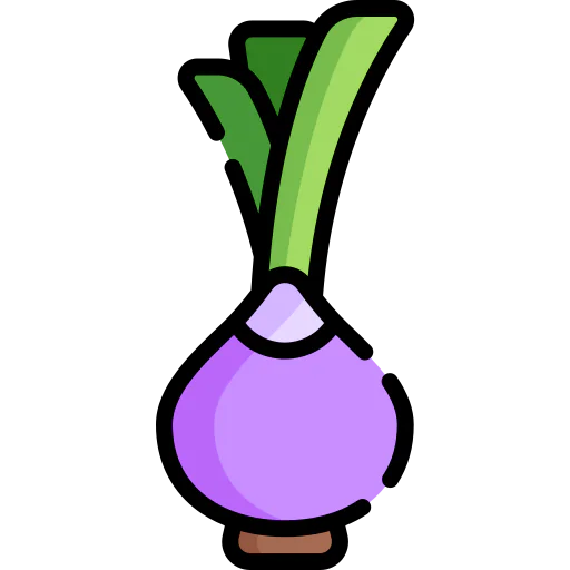 Onion icon