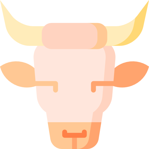 Beef icon