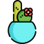 Cactus іконка 64x64