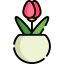 Tulip іконка 64x64