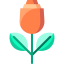 Rose アイコン 64x64