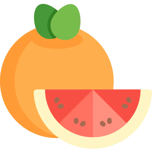 Grapefruit icon