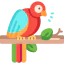 Bird 상 64x64