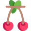 Cherry ícono 64x64