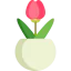 Tulip ícono 64x64
