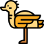 Ostrich icon 64x64