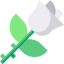 Rose アイコン 64x64
