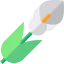 Calla アイコン 64x64