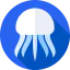 Jellyfish icon 64x64
