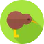 Kiwi icon 64x64