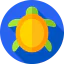Turtle icon 64x64
