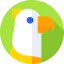 Bird icon 64x64