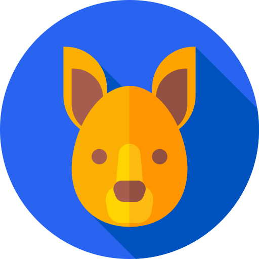Kangaroo Ikona