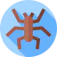 Spider icon 64x64