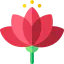 Цветок лотоса иконка 64x64