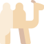 Дромадер иконка 64x64