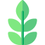 Herbs Symbol 64x64