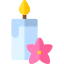 Aromatherapy ícono 64x64