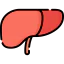 Liver icône 64x64