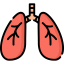 Lungs Symbol 64x64