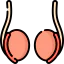 Testicle icon 64x64