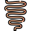 Intestine icon 64x64