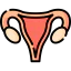 Uterus icon 64x64