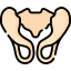 Pelvis 图标 64x64