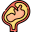 Fetus icon 64x64