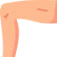 Leg icon 64x64