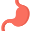 Stomach icon 64x64