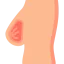 Грудь иконка 64x64