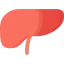 Liver icône 64x64