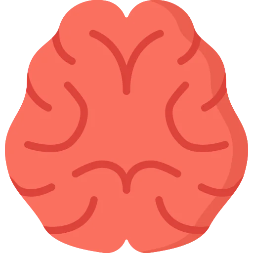 Brain icon