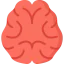 Brain icon 64x64