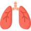 Lungs Symbol 64x64