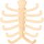Rib cage biểu tượng 64x64