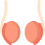 Testicle icon 64x64