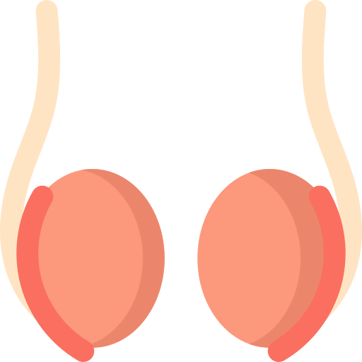 Testicle icon